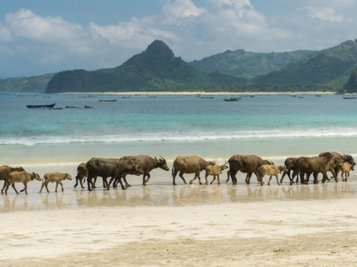 Lombok-Indonesie-e1683119926455