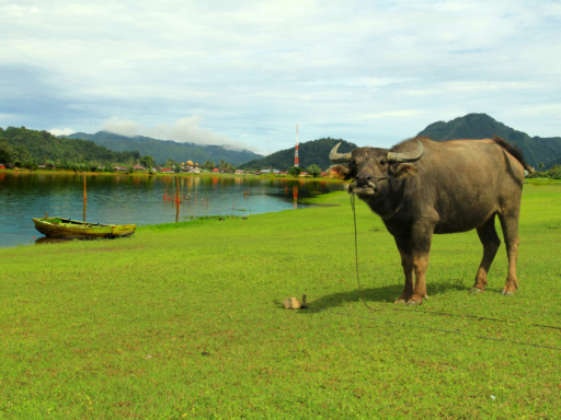 Sumatra-Indonesie-e1683119946316