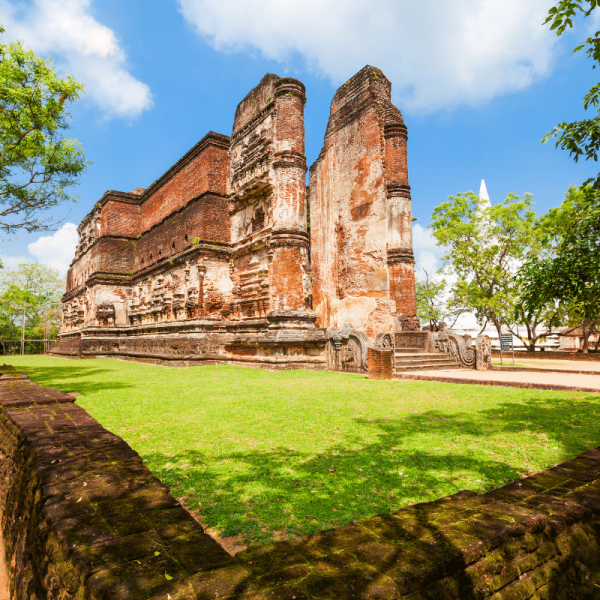 AHV Tours