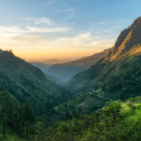 AN Sri Lanka