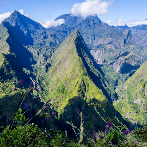 AZ Tour La Réunion