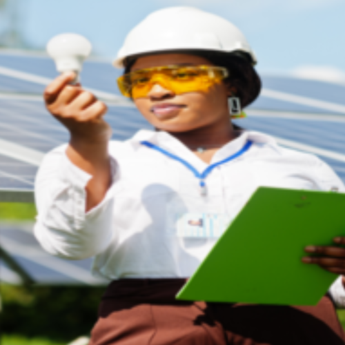 Afrique du Sud energie
