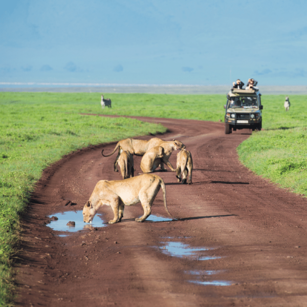 BTC A Tanzania