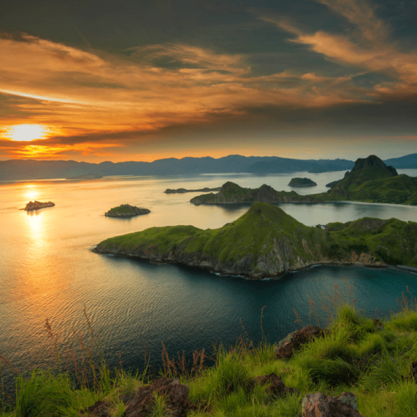 DTK Indonesia