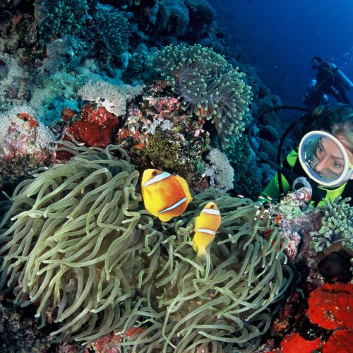 Djibouti.1