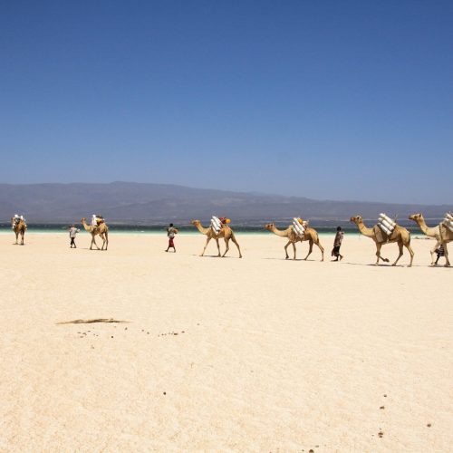 Djibouti.4