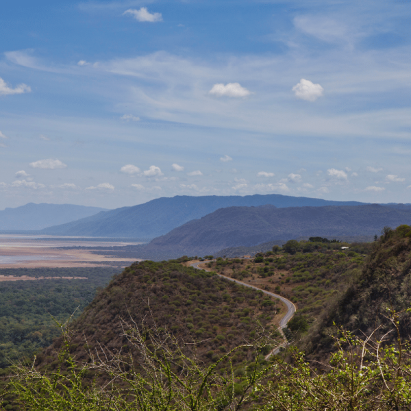 GTT Tanzania