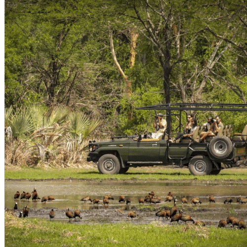 Gorongosa Mozambique