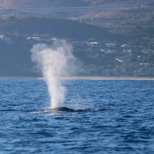 La Réunion