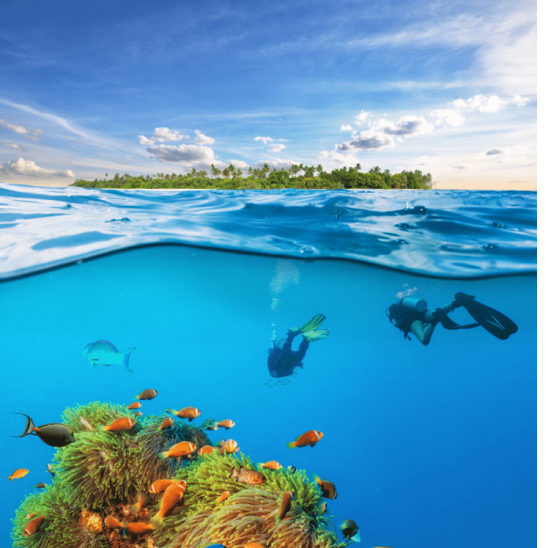 O. Maldives