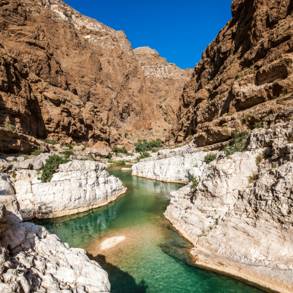 SDT Oman