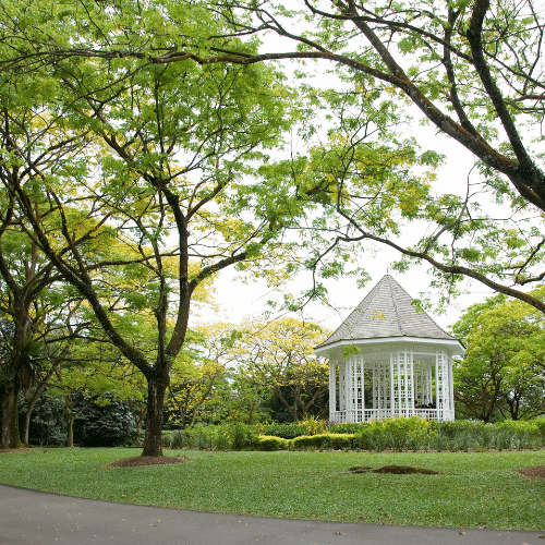Singapore botanic garden