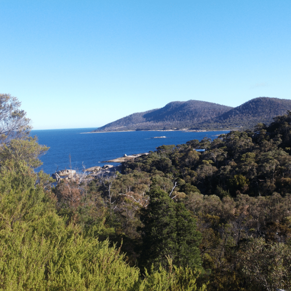 T Ex. Tasmania