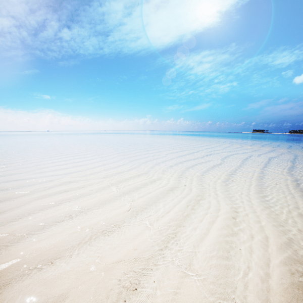 TC Maldives