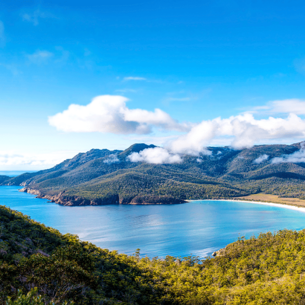 TWC Tasmania
