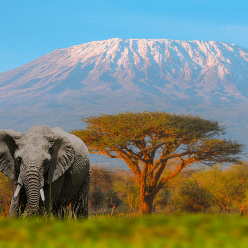 Tanzania