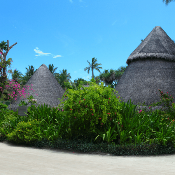 U. Maldives