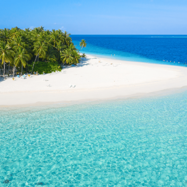 V Maldives