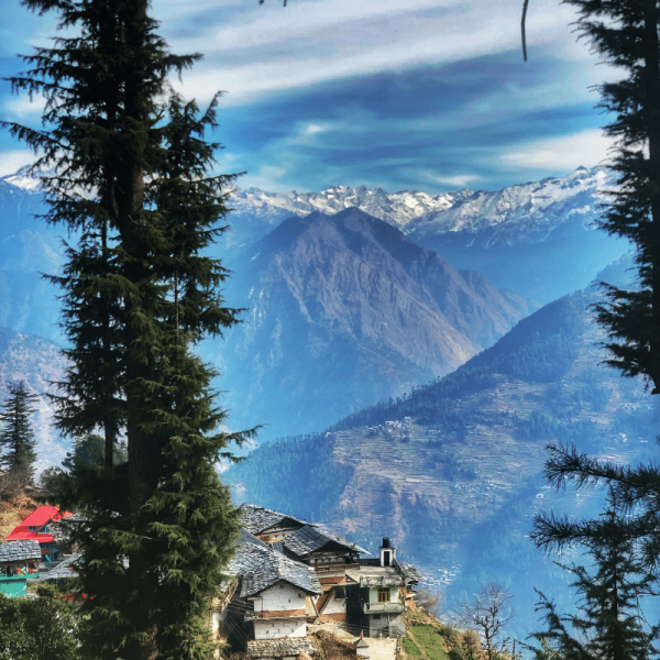 WV India