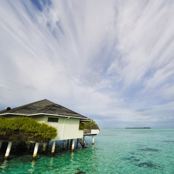 ZL Maldives
